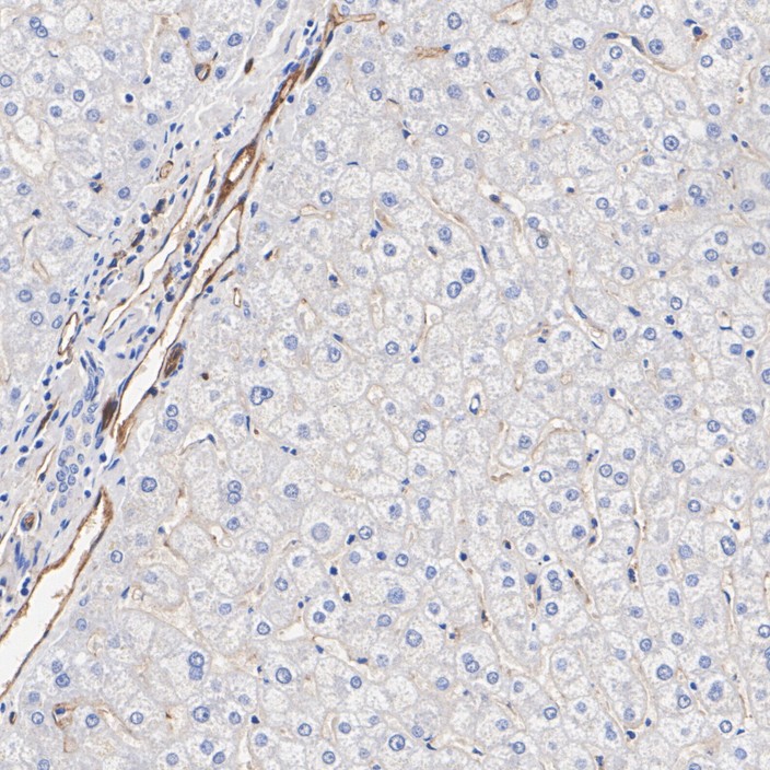 HA601522_5.jpg
