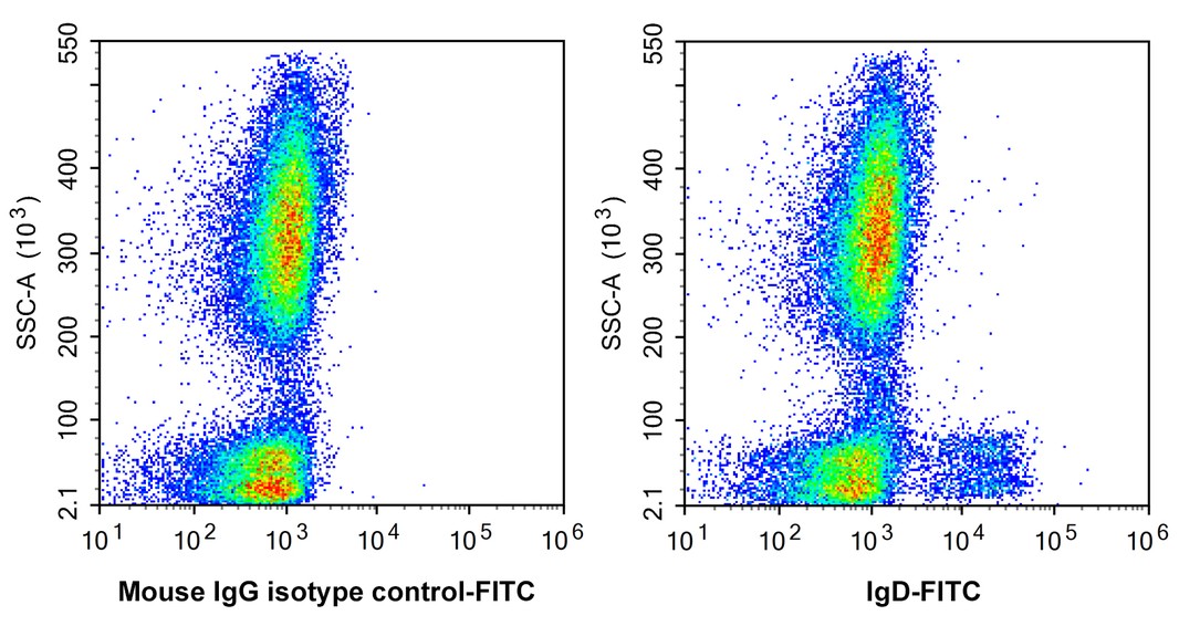 HA601526F_1.jpg
