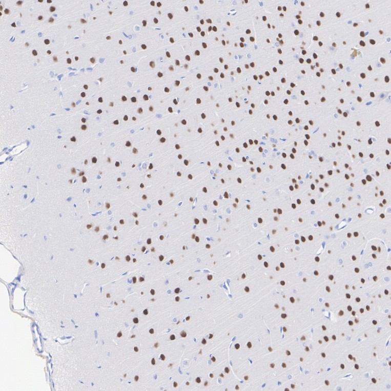 HA601568_3.jpg