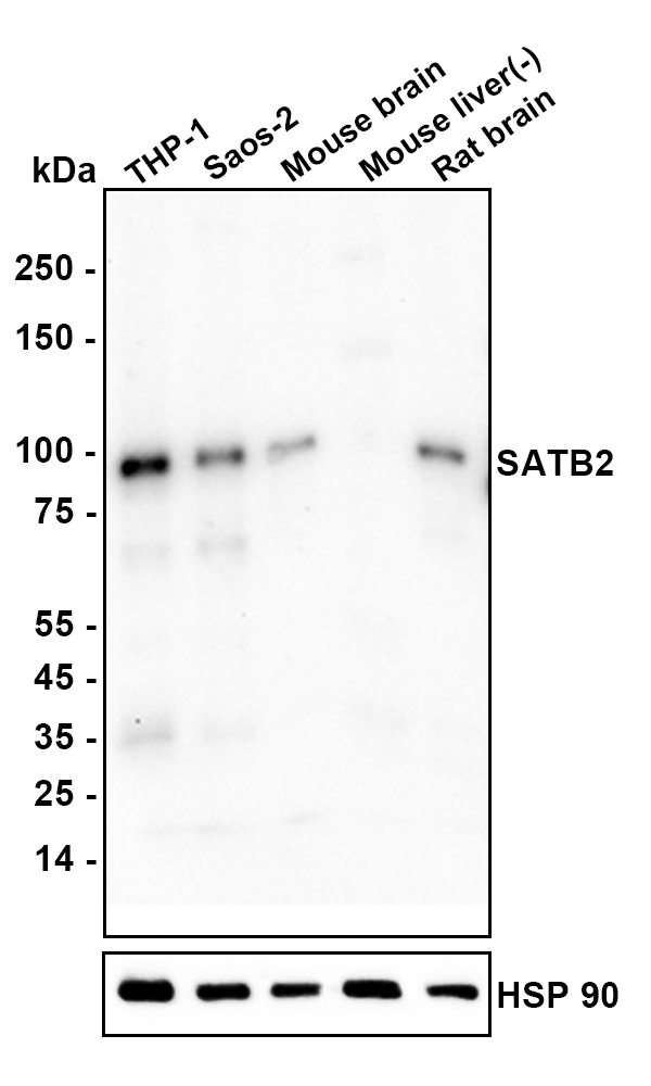 HA601569_1.jpg