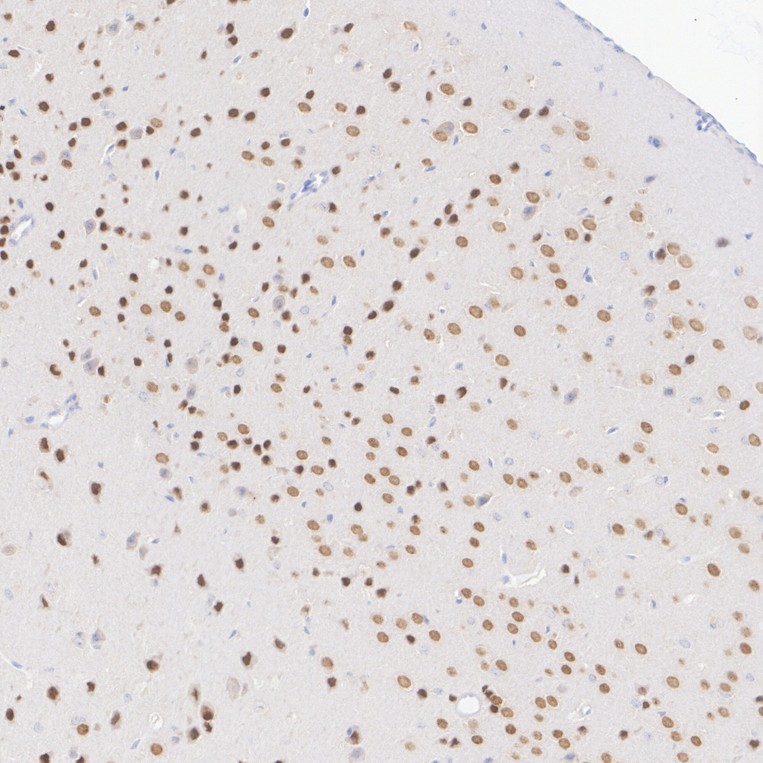 HA601569_2.jpg