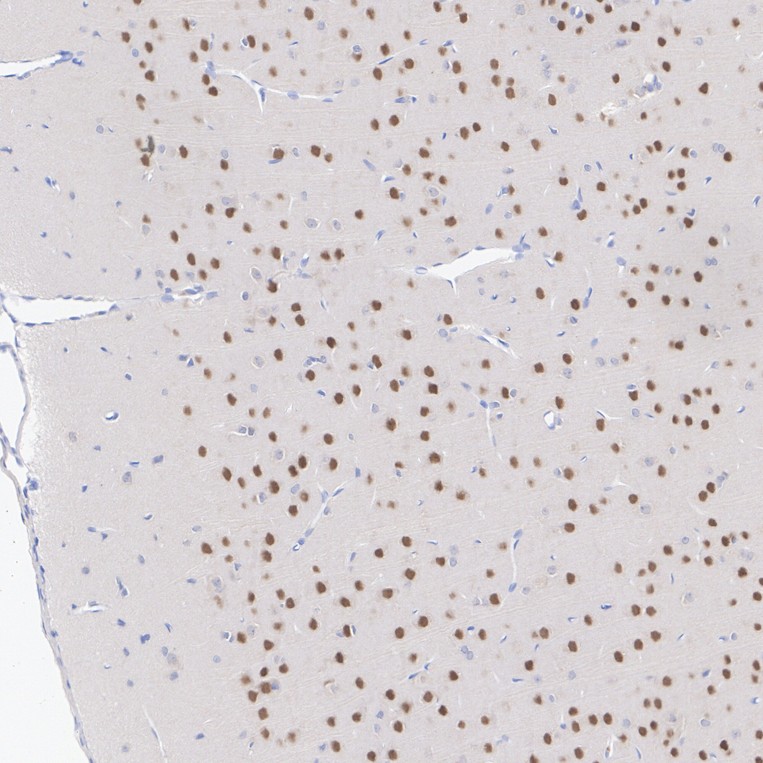 HA601569_3.jpg
