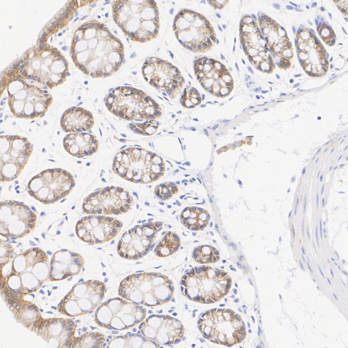 HA601570_5.jpg