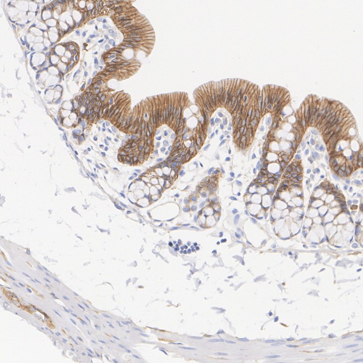 HA601570_6.jpg