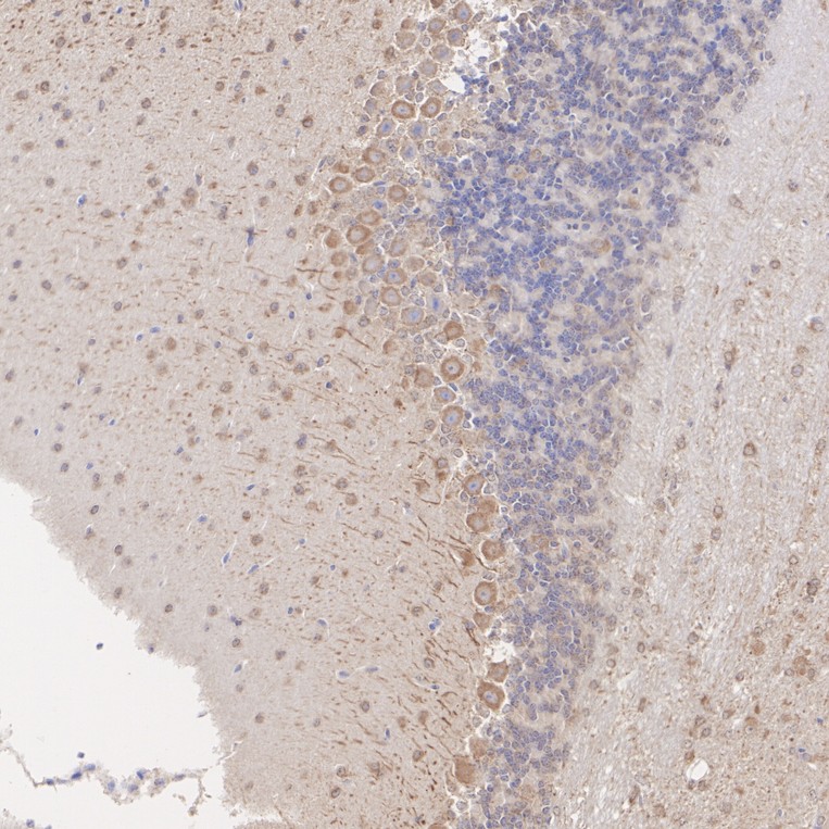 HA601581_2.jpg