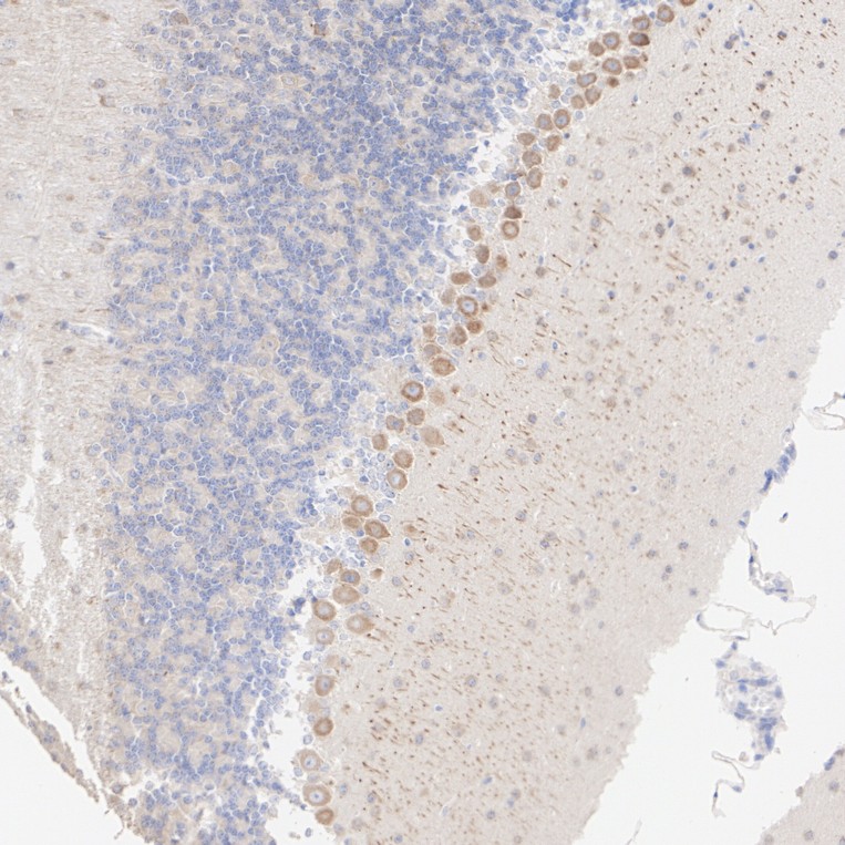 HA601582_2.jpg