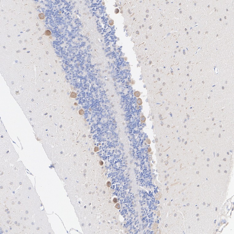 HA601582_3.jpg