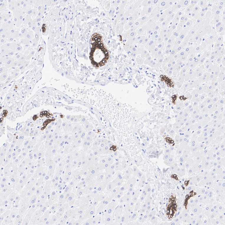 HA601583_5.jpg