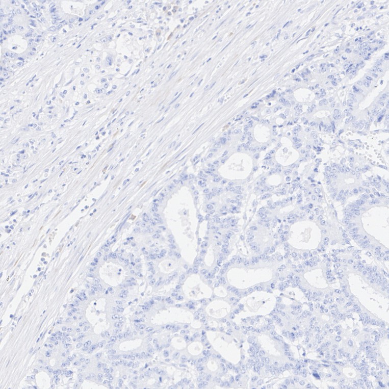 HA601583_6.jpg