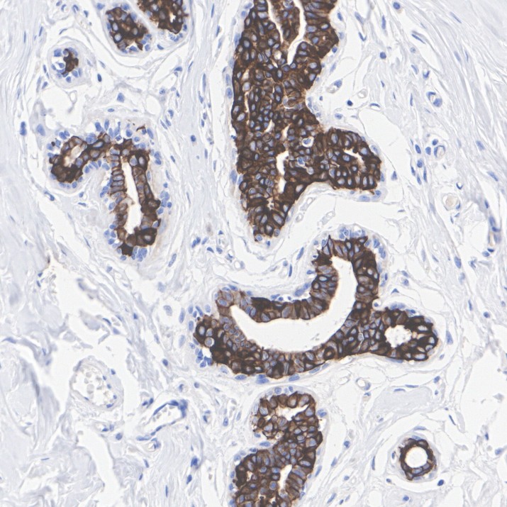 HA601586_1.jpg