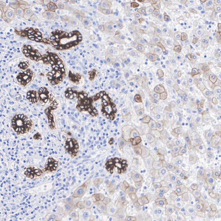 HA601586_3.jpg