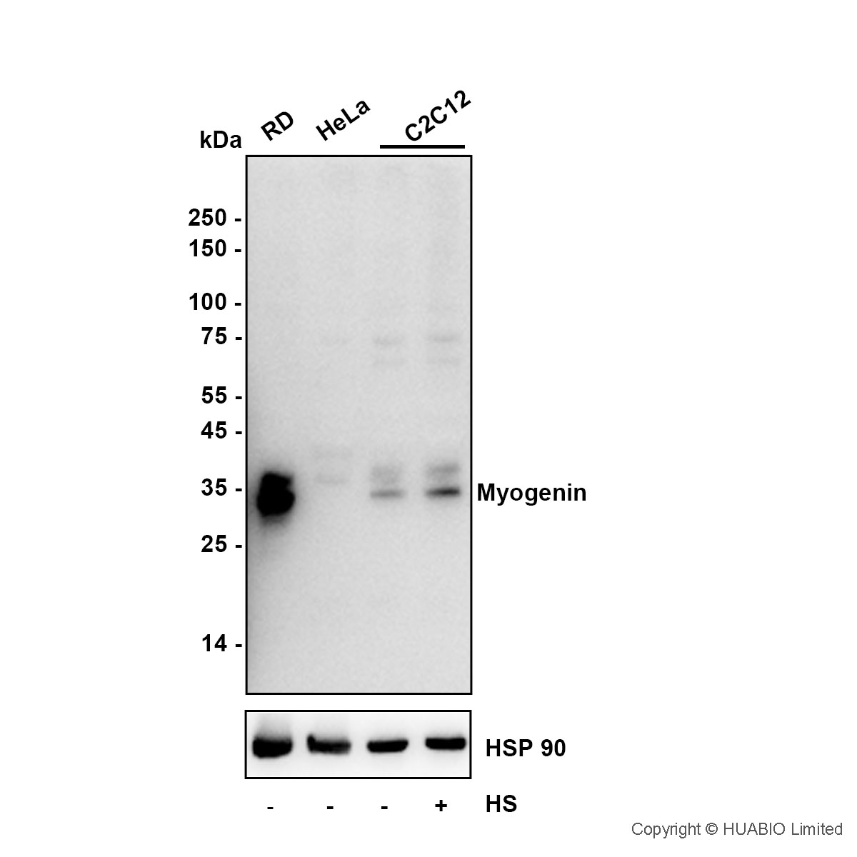 HA601587_1.jpg