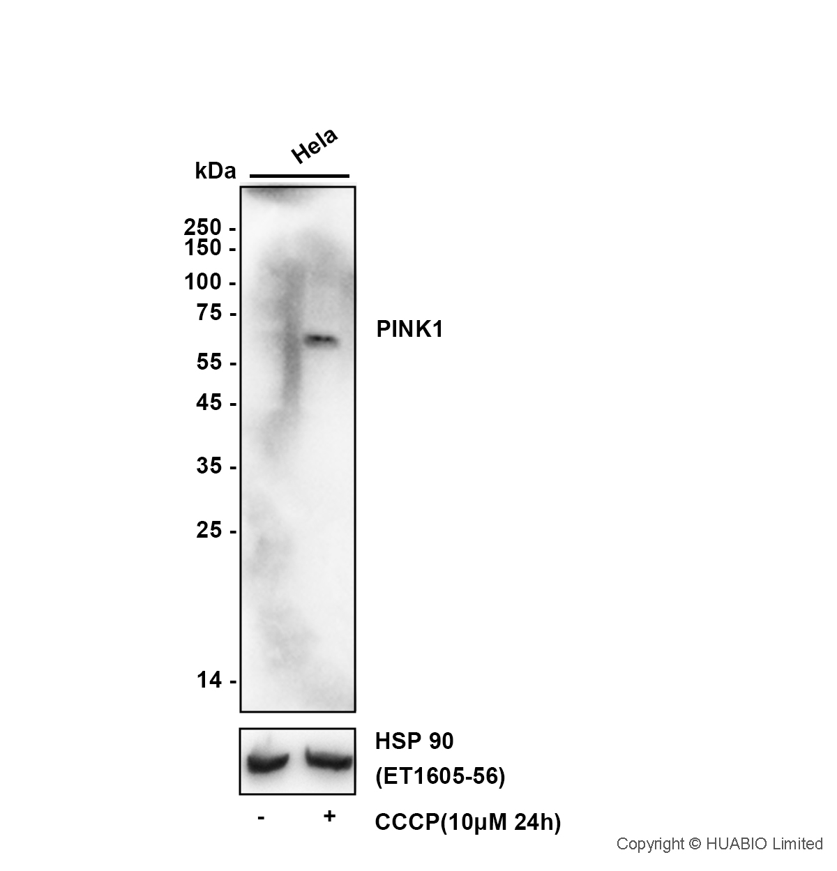 HA601588_2.jpg