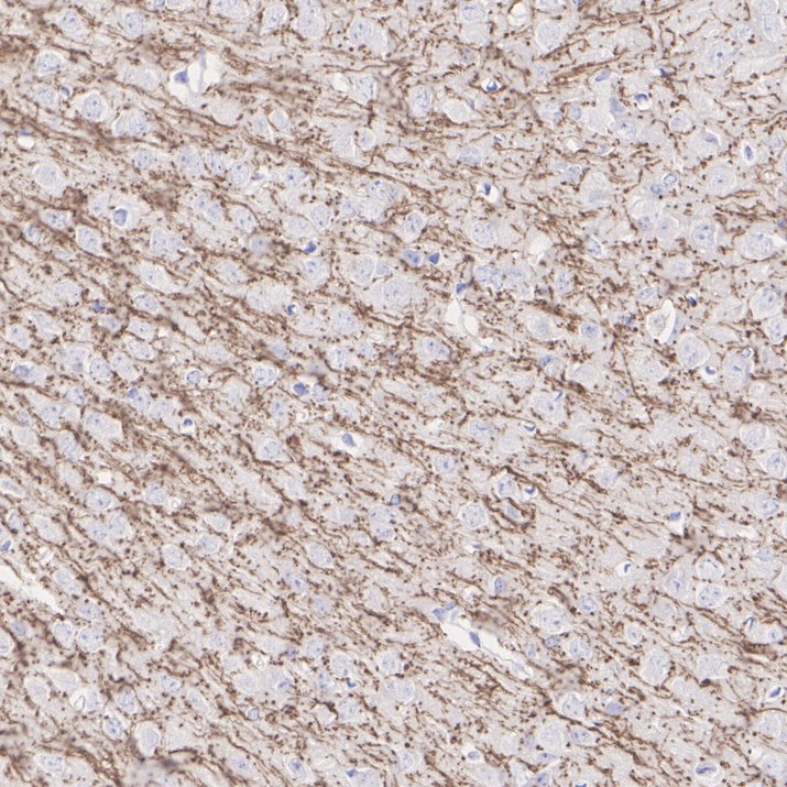 HA601601_2.jpg