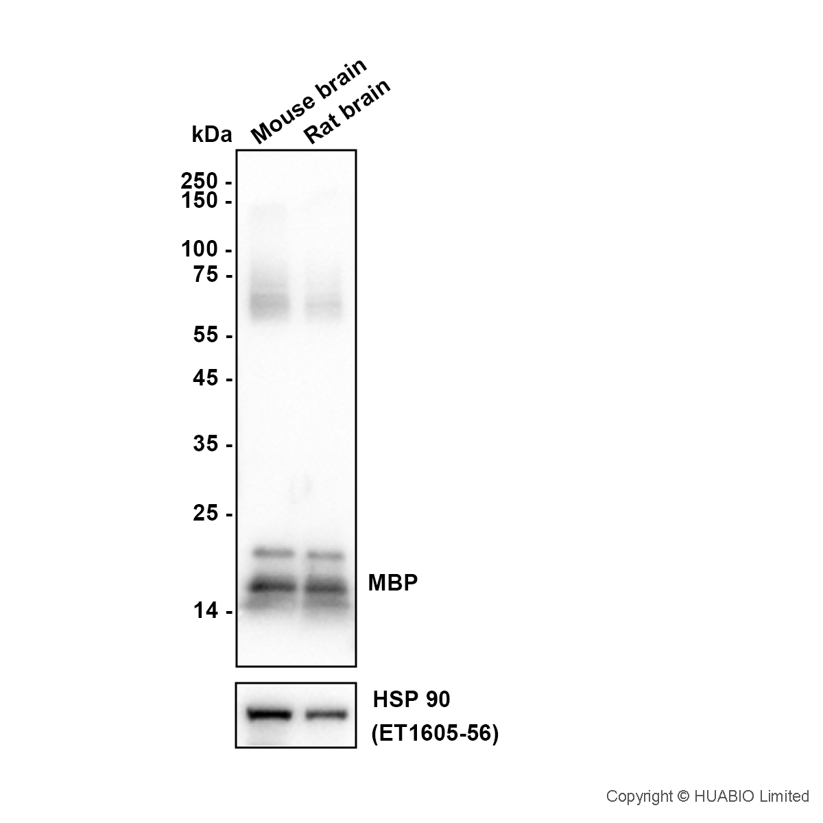 HA601601_4.jpg