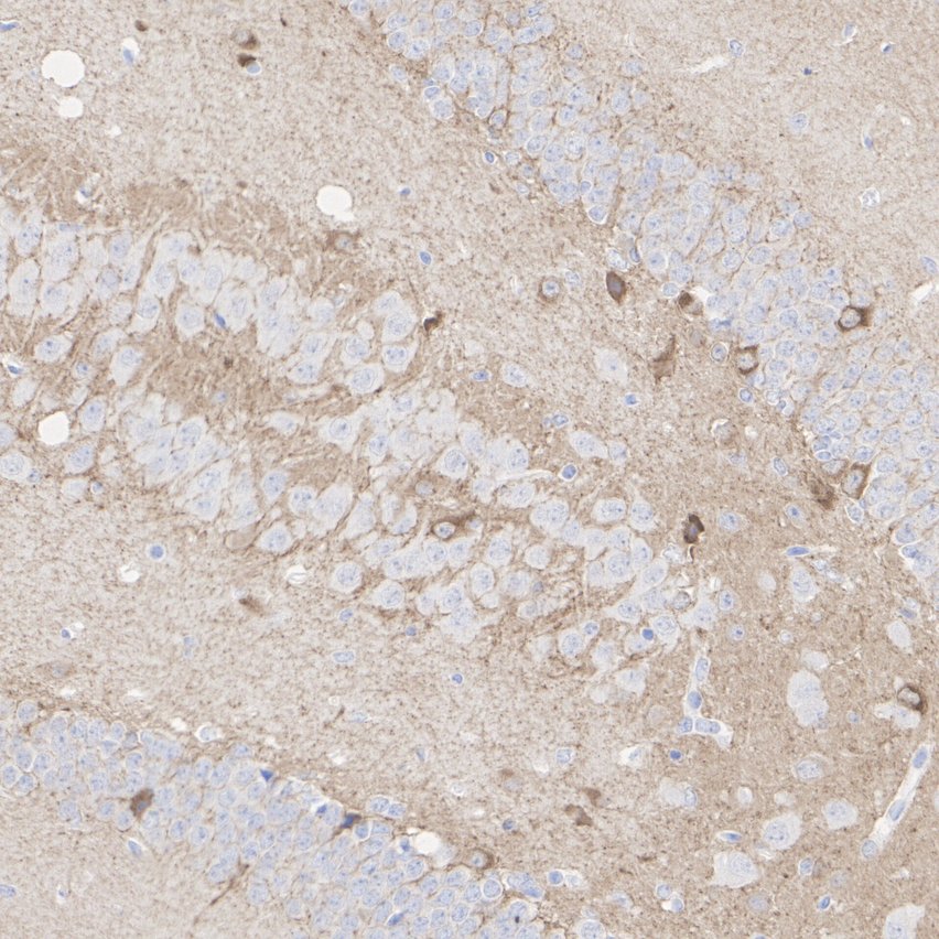 HA601606_3.jpg