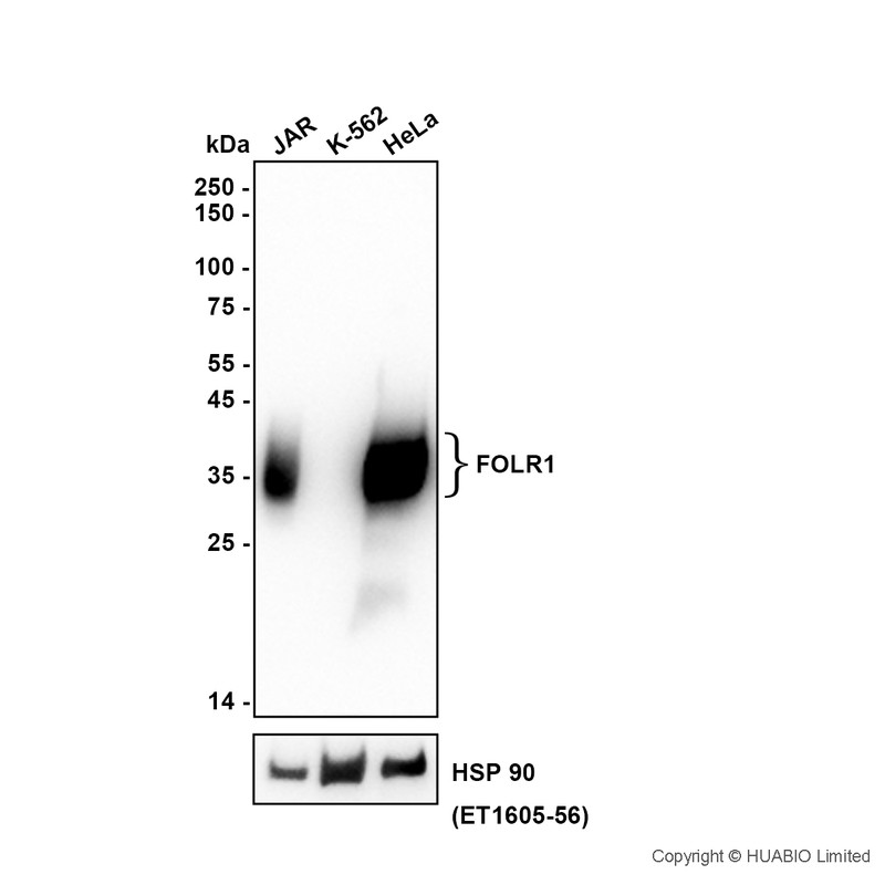 HA601607_1.jpg