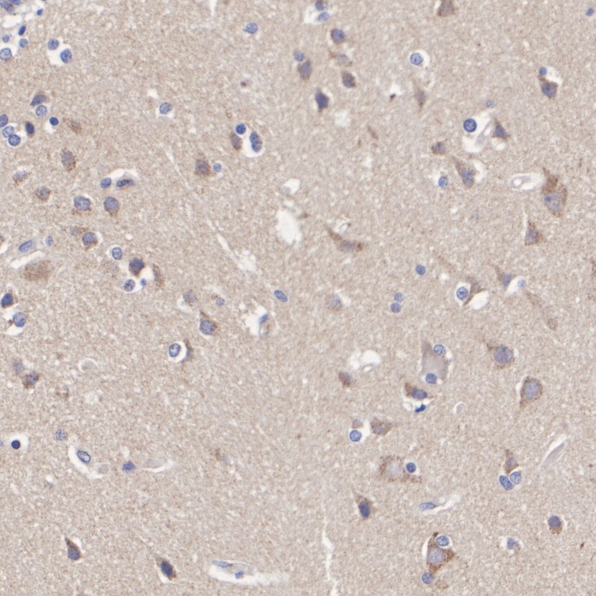 HA601609_2.jpg