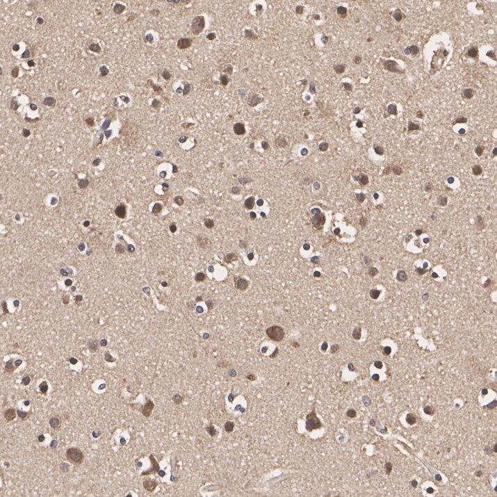 HA601612_2.jpg