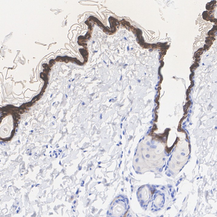 HA601617_3.jpg