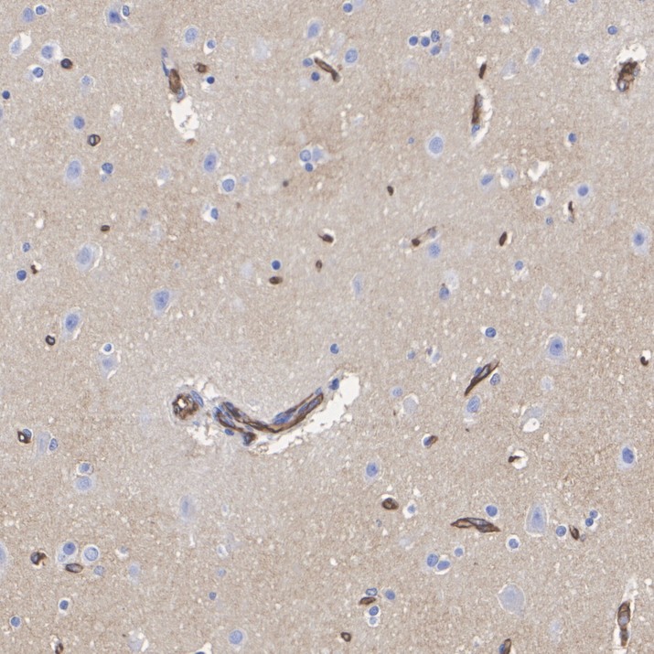HA601621_5.jpg