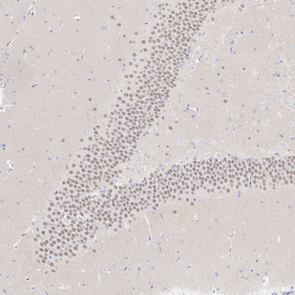 HA601623_4.jpg