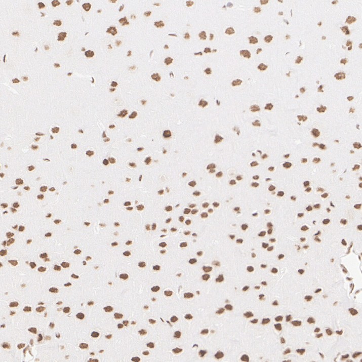 HA601627_3.jpg