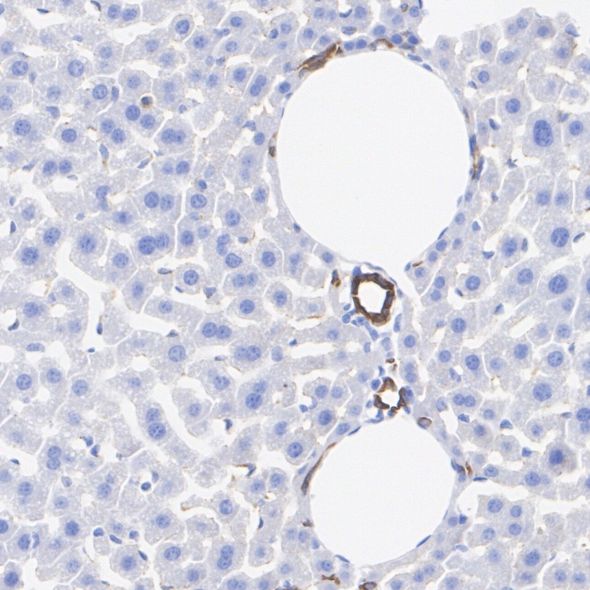 HA601630_1.jpg