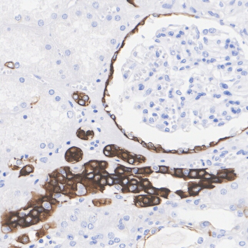 HA601630_2.jpg