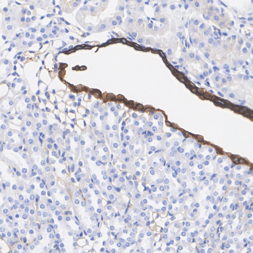 HA601630_3.jpg
