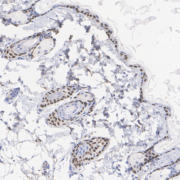HA601631_4.jpg