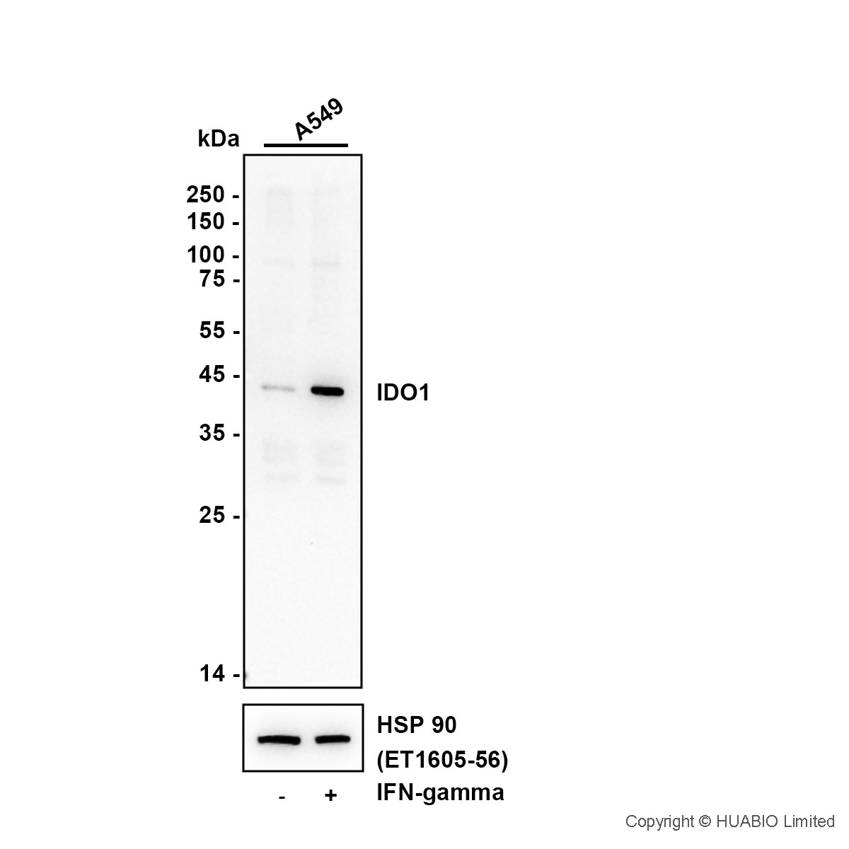 HA601632_1.jpg