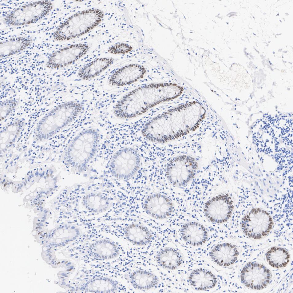 HA601649_1.jpg