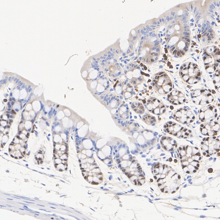 HA601649_2.jpg