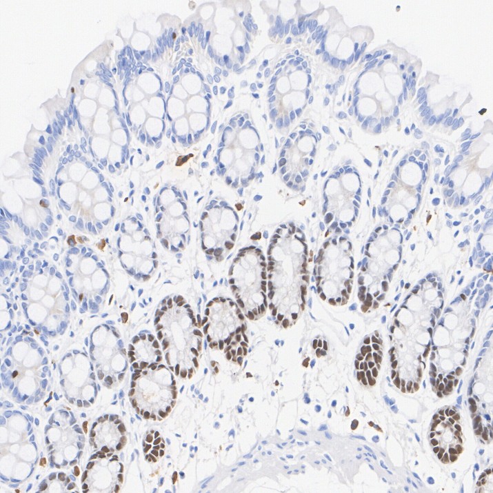 HA601649_3.jpg
