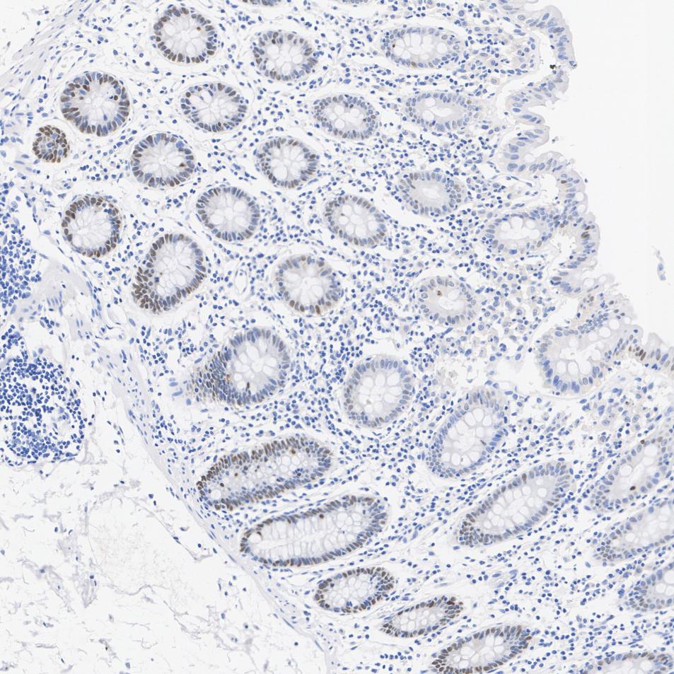 HA601650_1.jpg