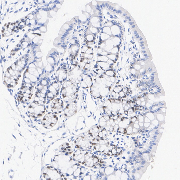 HA601650_2.jpg
