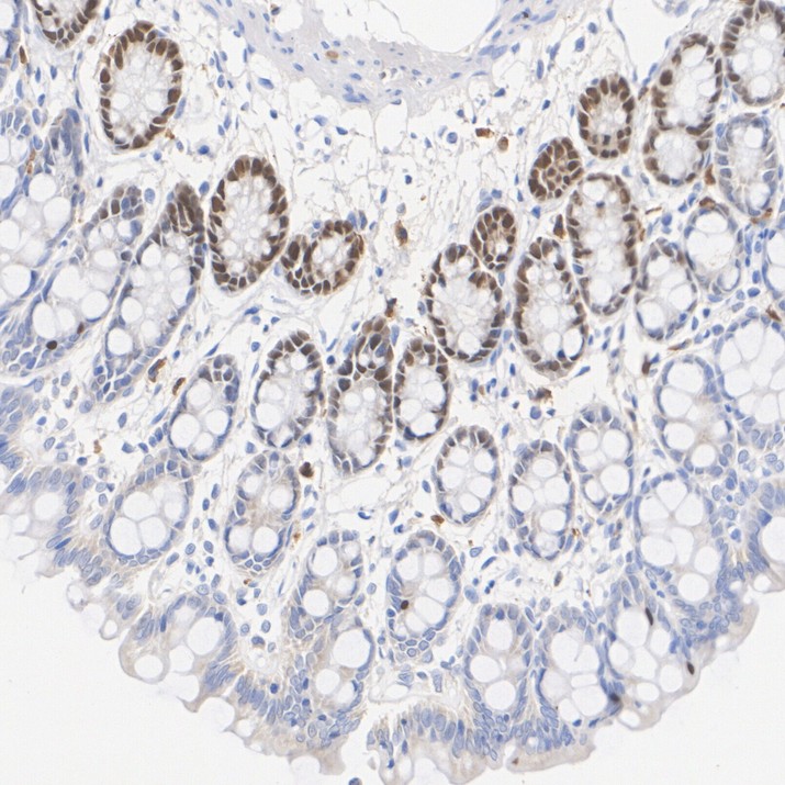 HA601650_3.jpg