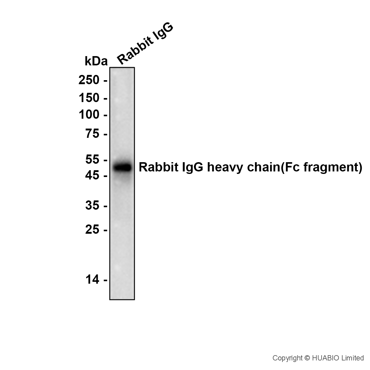 HA601651_1.jpg