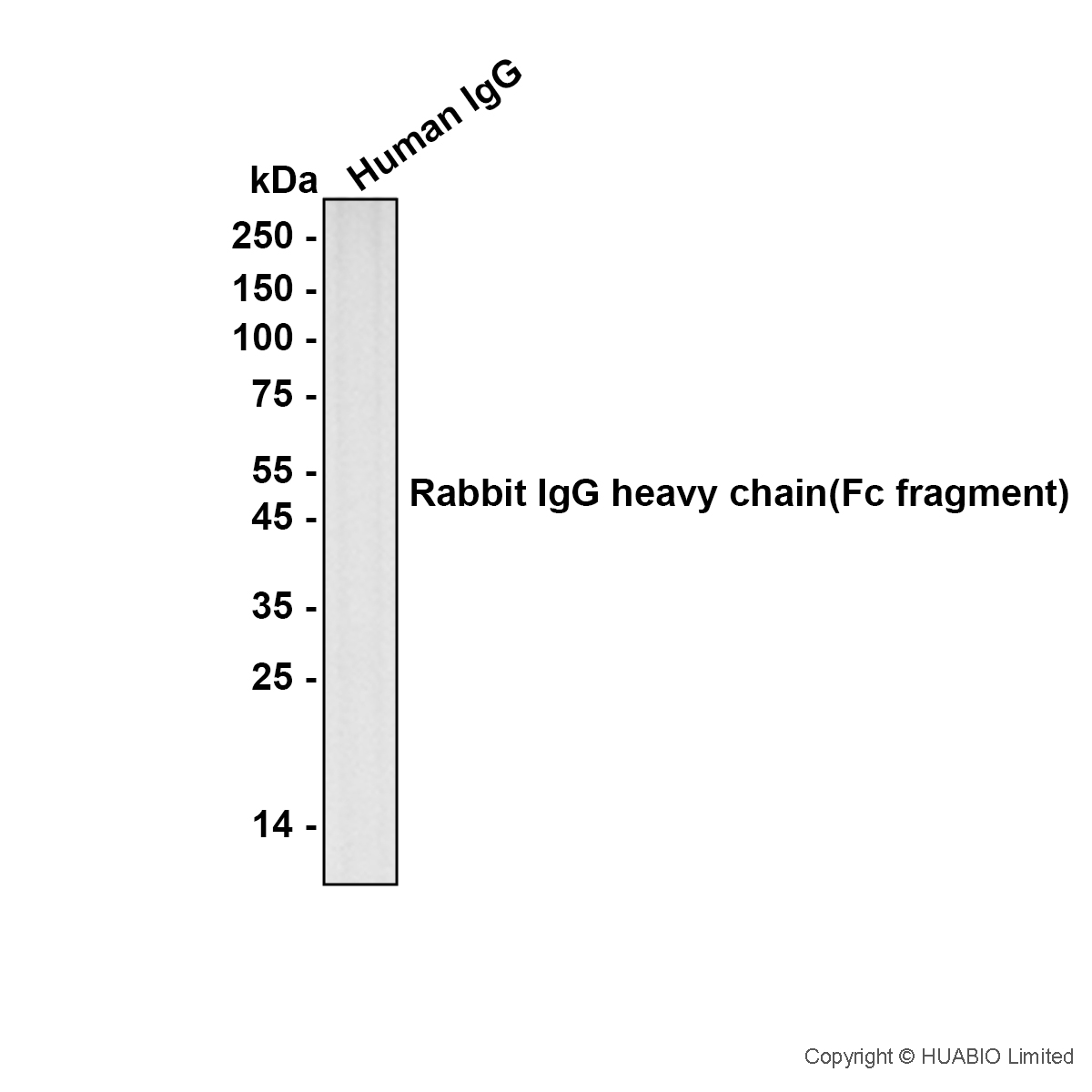 HA601651_3.jpg