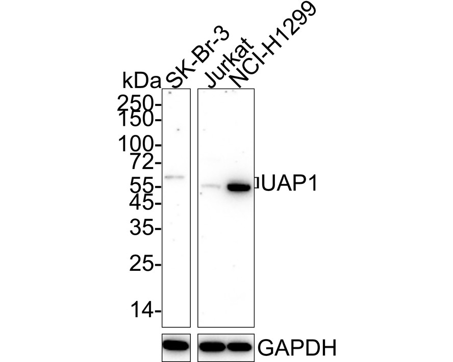HA601660_1.jpg