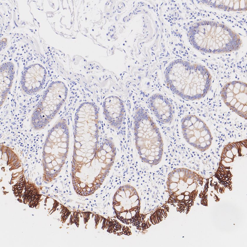 HA601661_3.jpg