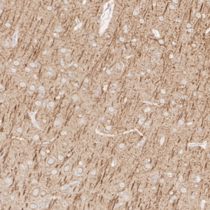 HA601663_4.jpg