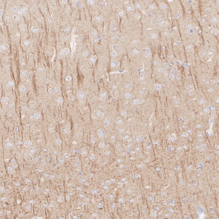 HA601664_4.jpg