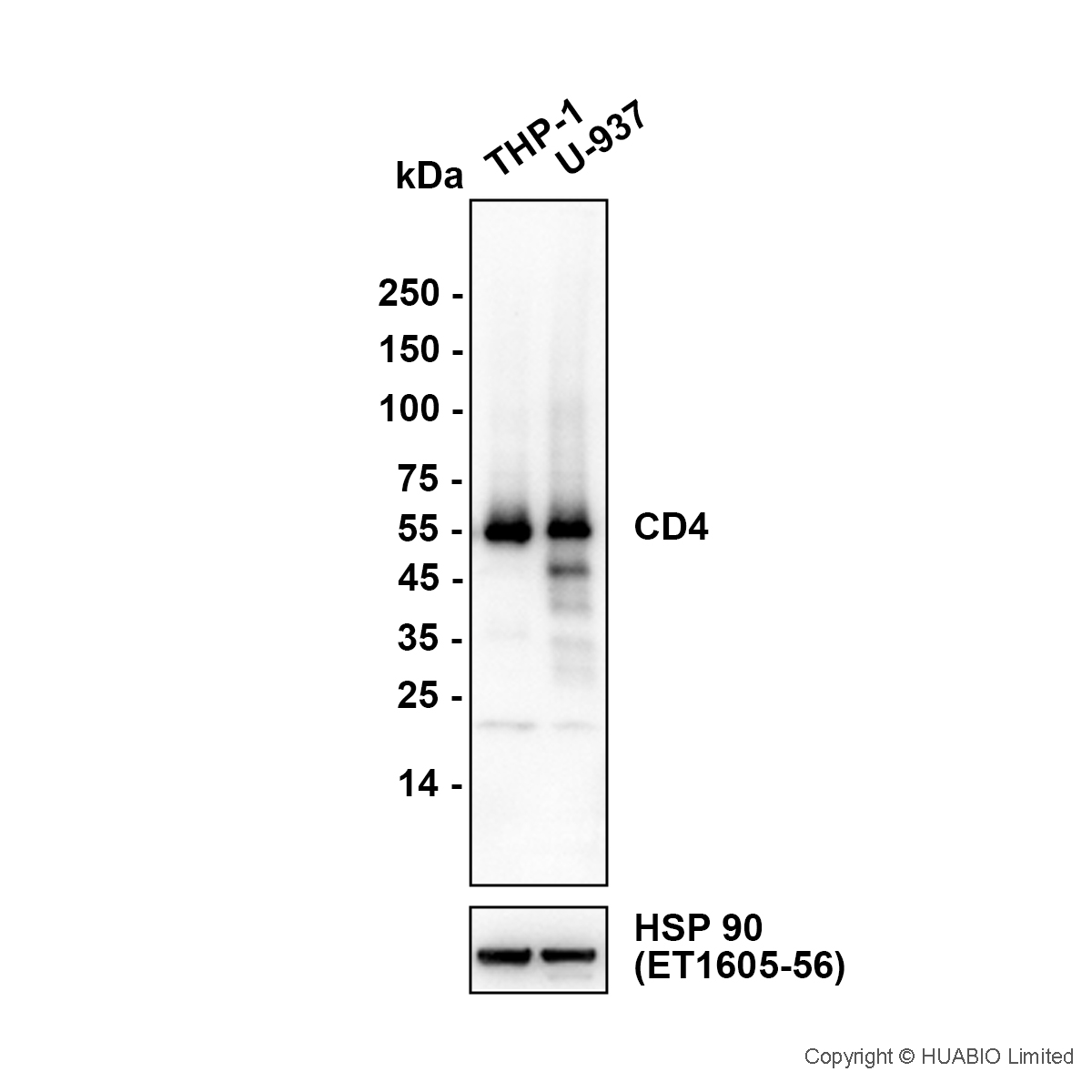 HA601671_1.jpg