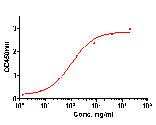 HA610004_4.jpg