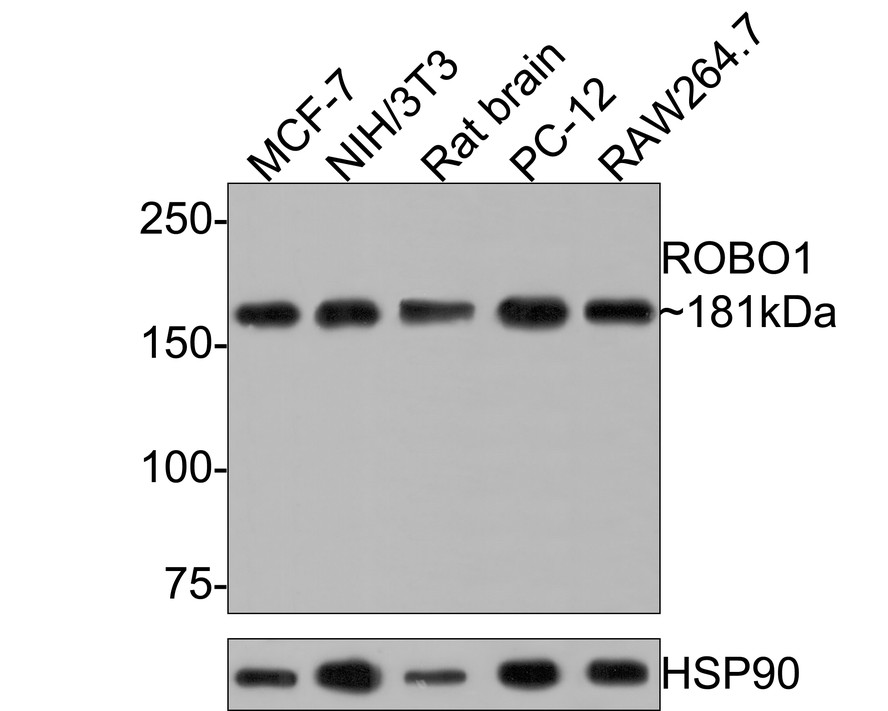 HA610007_2.jpg