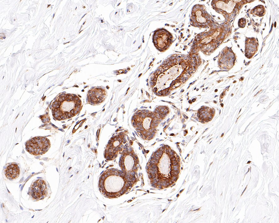 HA610007_3.jpg