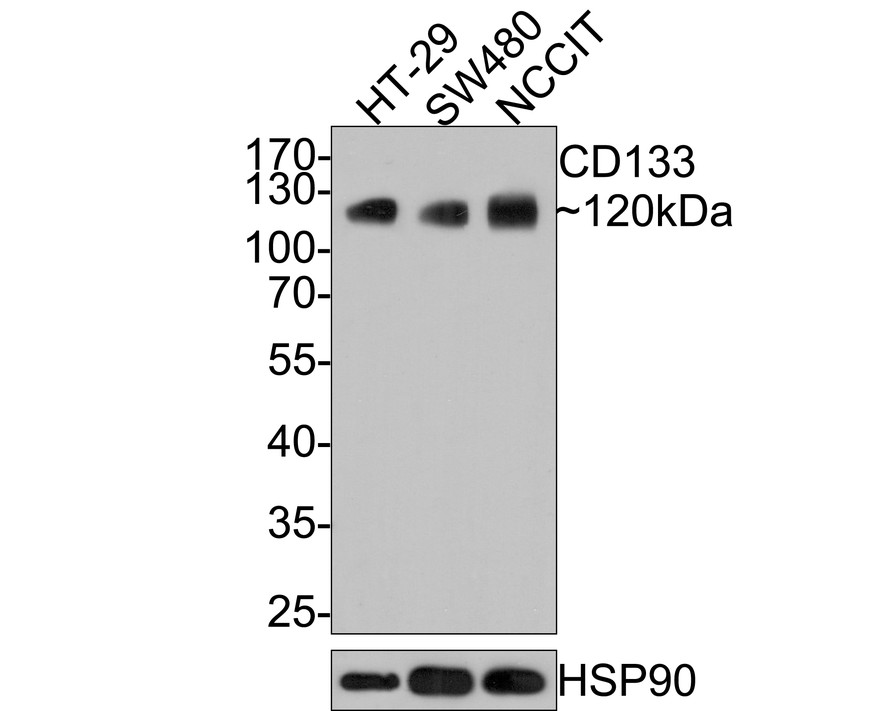 HA610009_2.jpg