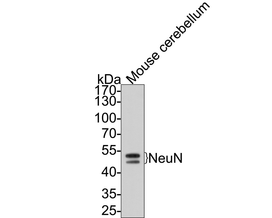 HA610031_2.jpg